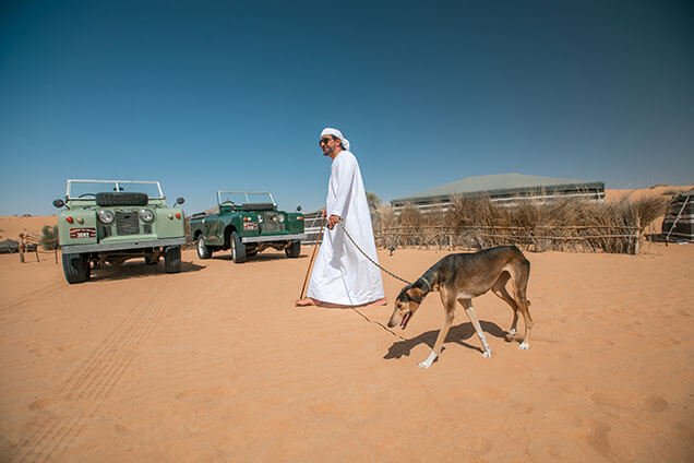 Bedouin Culture Safari Tour