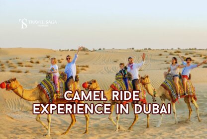 Tracing the Tracks: Camel Ride in Dubai
