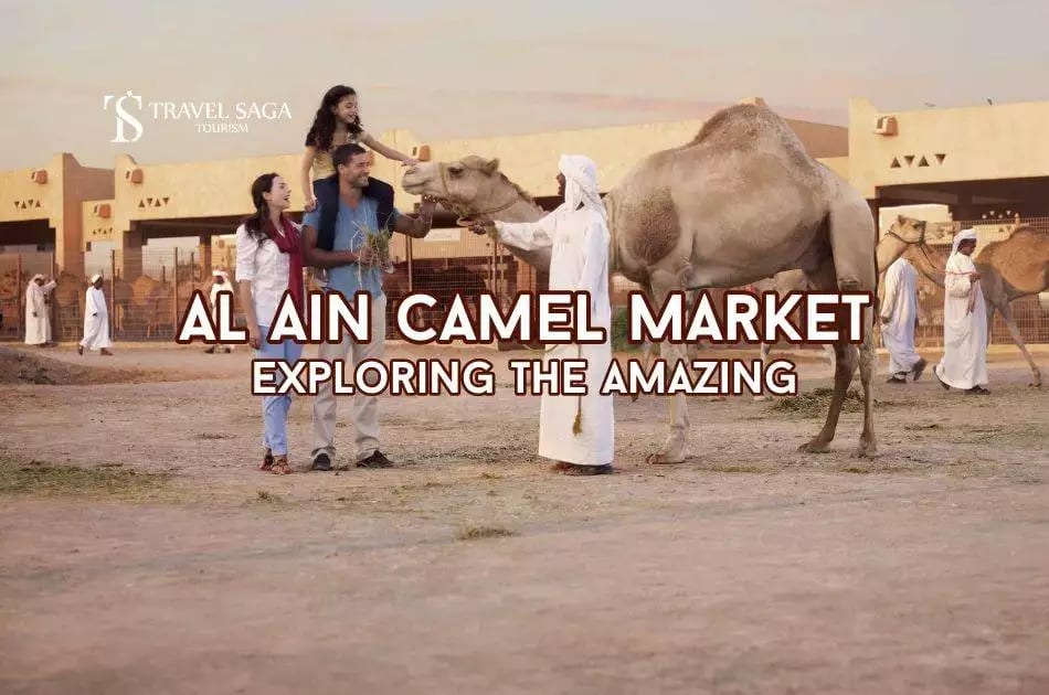 Al Ain Camel Market Blog Banner By thedesertsafariindubai.com