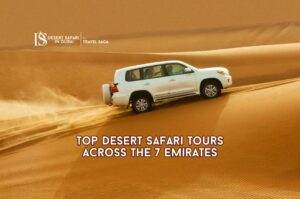 Desert Safari Tours Blog Banner By thedesertsafariindubai.com