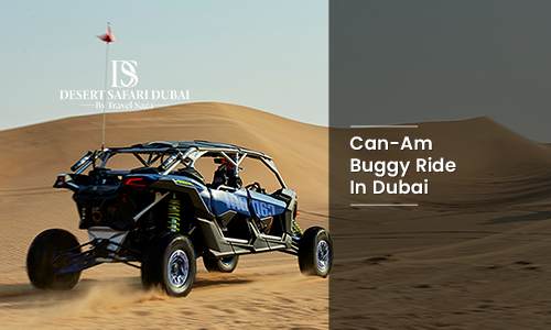 Book Can-Am Buggy Ride In Dubai