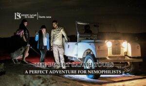 Desert Safari Tours Blog Banner by thedesertsafariindubai.com