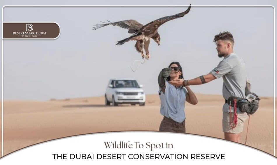 Dubai Desert Conservation Reserve Blog Banner By The Desert Safari in Dubai