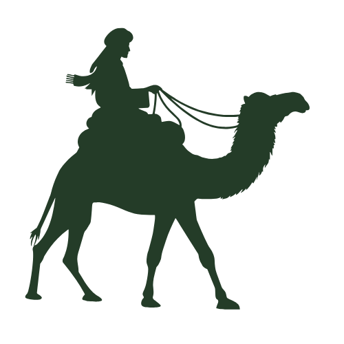 Camel riding