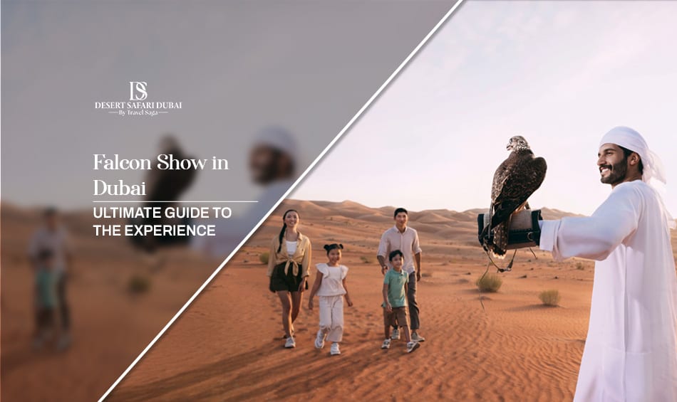 Falcon Show in Dubai blog banner by The Desert Safari In Dubai