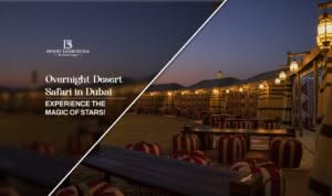 overnight desert safari Blog Banner The Desert Safari In Dubai