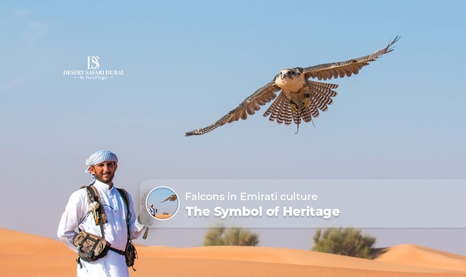 Falcons in Emirati culture Blog Banner by The Desert Safari in Dubai