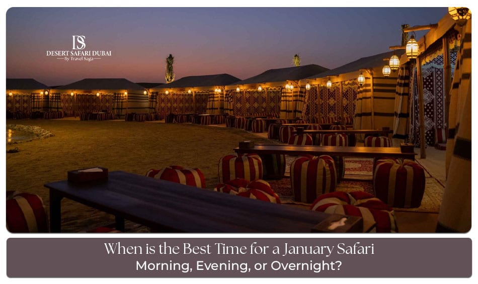 Best Time for a January Safari Blog Banner by The Desert Safari in Dubai