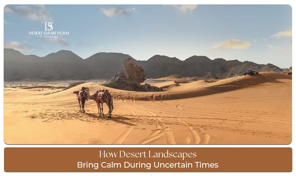Peaceful desert landscape bringing calm and relaxation
